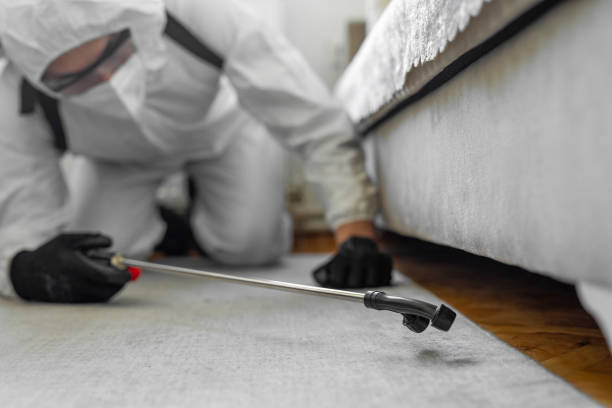 Professional Cockroach Control technician working in Lindenhurst, NY